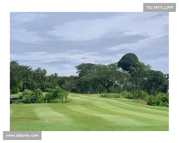 高尔夫摄影艺术探索：捕捉挥杆瞬间与自然美景的完美融合